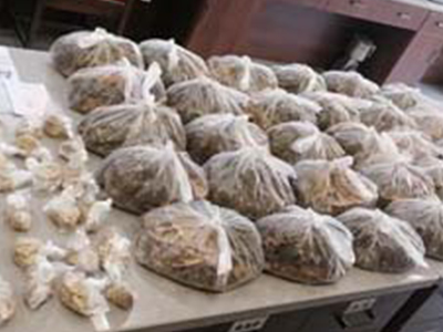 郑州哪有看肿瘤的医馆？