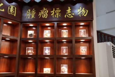 中医视角下卵巢癌的病因病机探秘