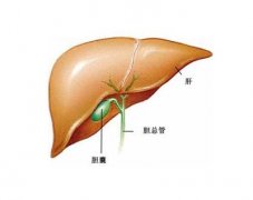 胆囊癌中医治疗效果如何？