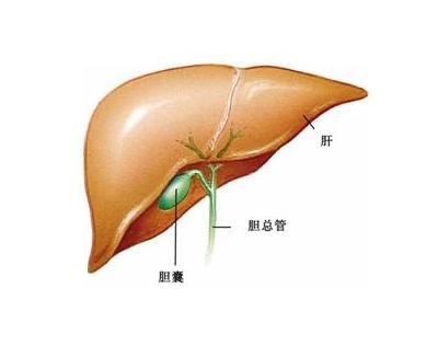 胆囊癌的晚期应该如何治疗？中医师告诉你